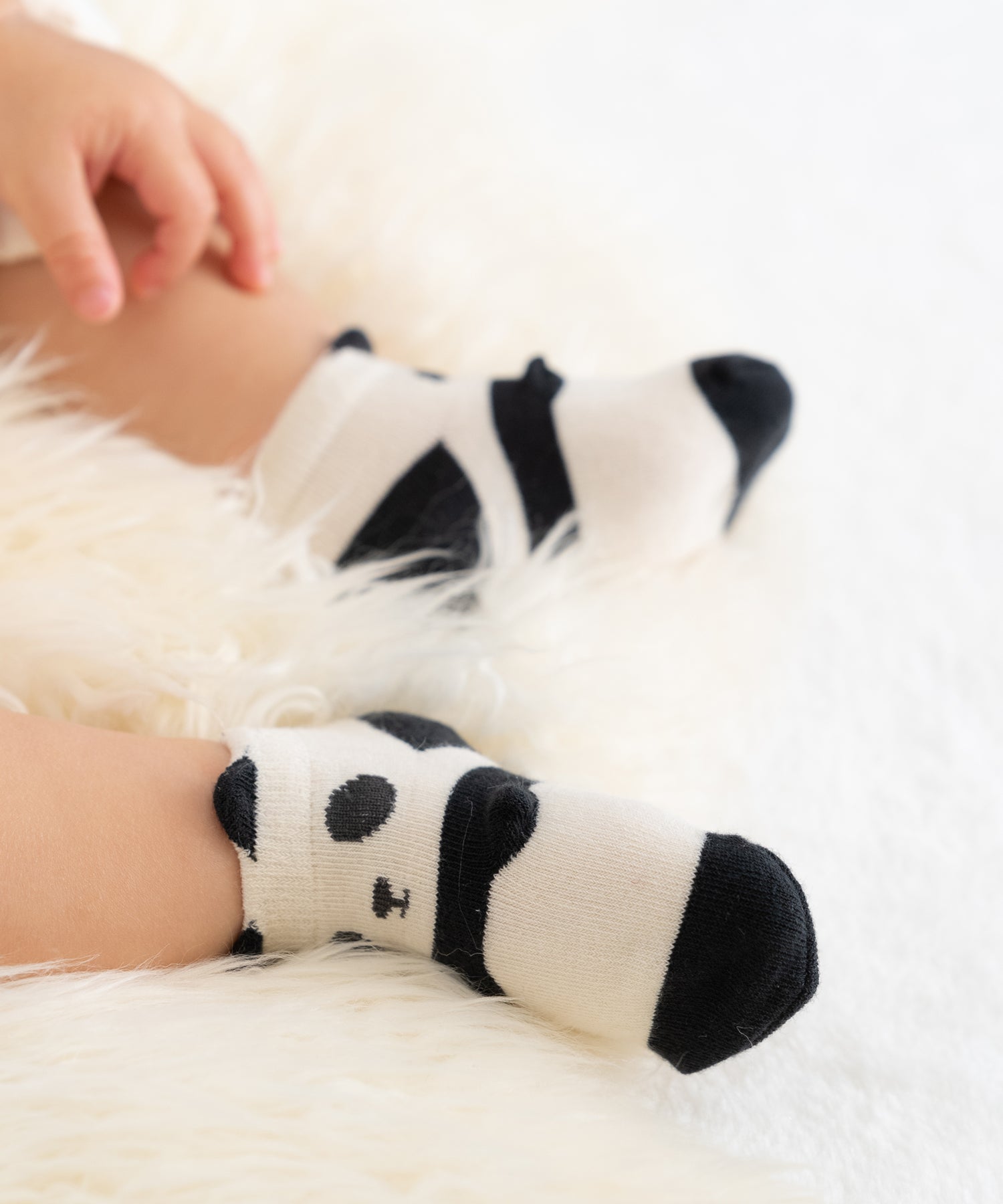 【1P】パンダ カップ入りベビーソックス